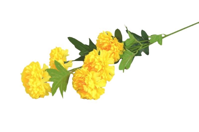 Chryzantéma 5 květů 59cm žlutá